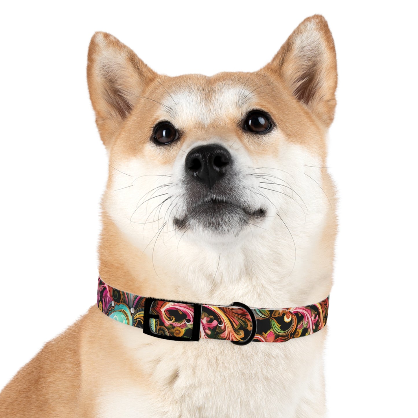 Dog Collar