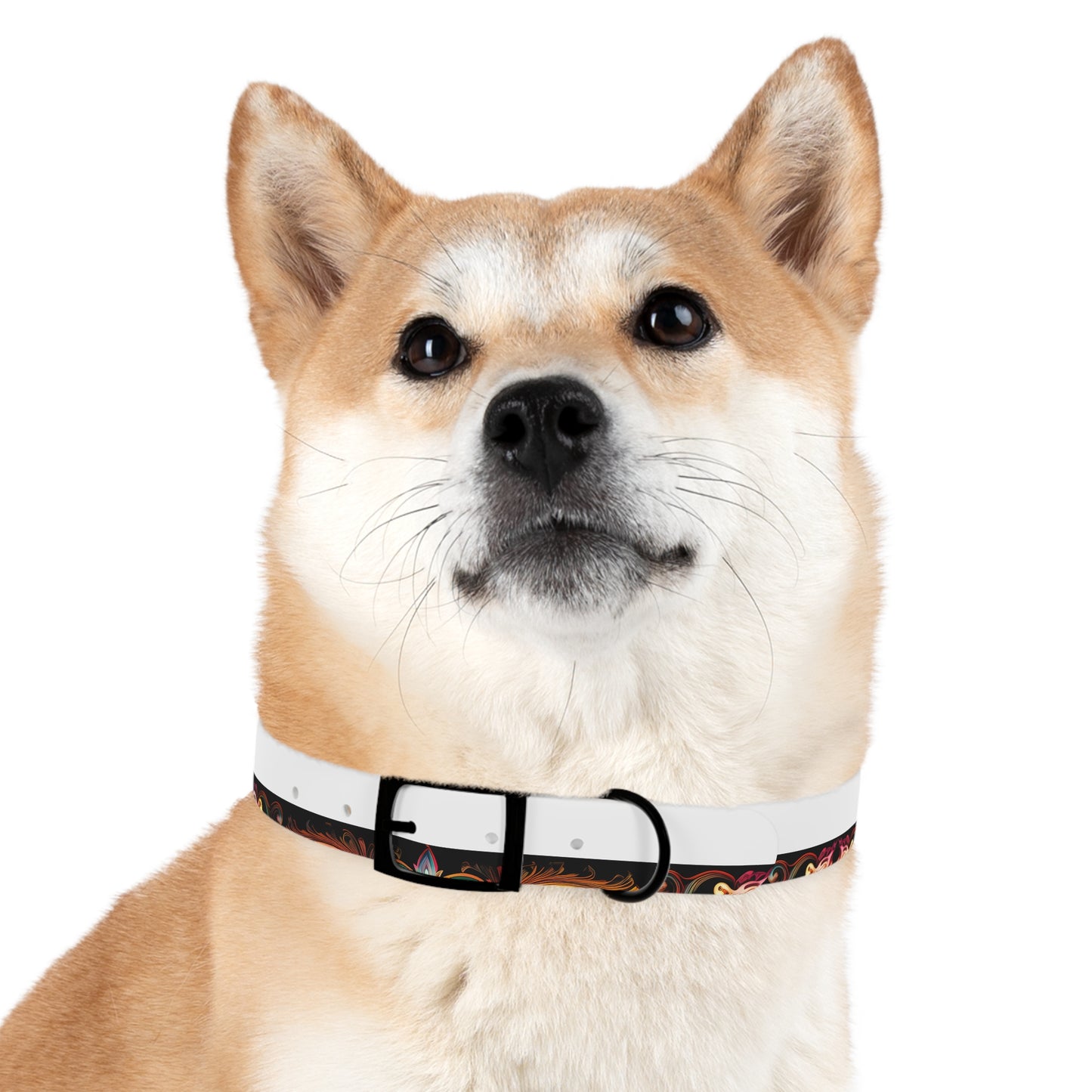 Dog Collar