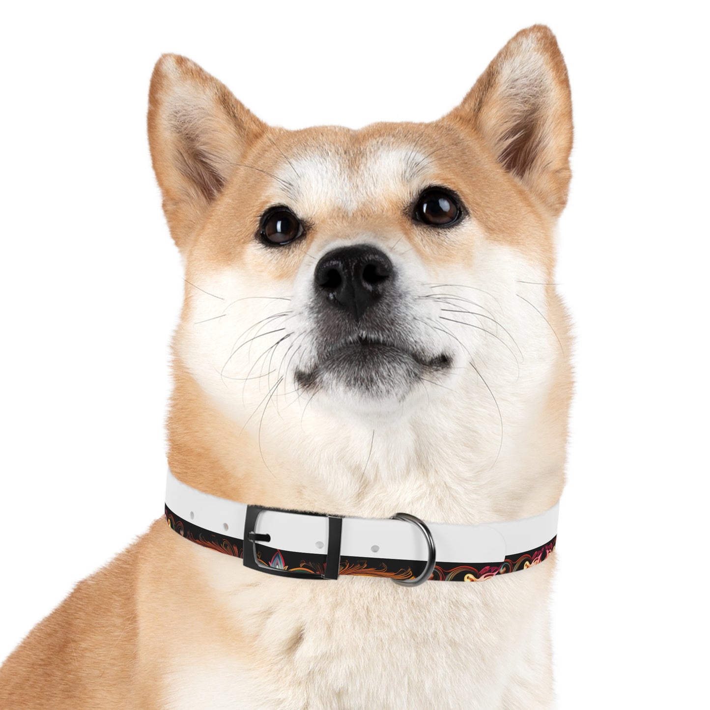 Dog Collar