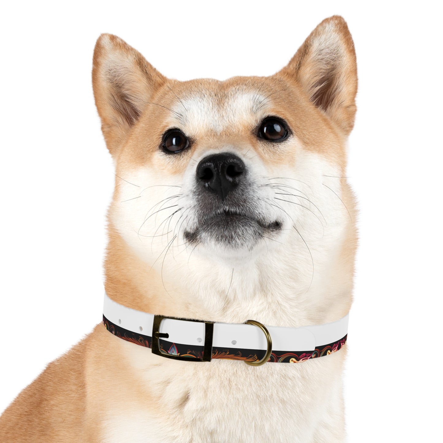 Dog Collar